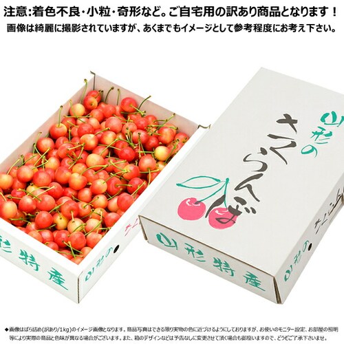 【予約】山形県産 ご家庭用 さくらんぼ 佐藤錦 1kg (訳あり/Lサイズ/ばら詰め/クール便) 自宅用 家庭用【代引き不可】_1