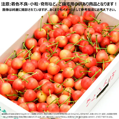 【予約】山形県産 ご家庭用 さくらんぼ 佐藤錦 1kg (訳あり/Lサイズ/ばら詰め/クール便) 自宅用 家庭用【代引き不可】_2