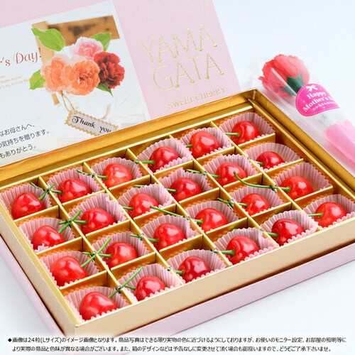 �y5��12��(��)�ɂ��͂��z��̓� �������� ������ (�����n�E�X/�G�i/M�T�C�Y/24������) �M�t�g �v���[���g ��̓��M�t�g_2