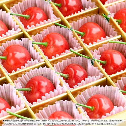 �y5��12��(��)�ɂ��͂��z��̓� �������� ������ (�����n�E�X/�G�i/M�T�C�Y/24������) �M�t�g �v���[���g ��̓��M�t�g_3