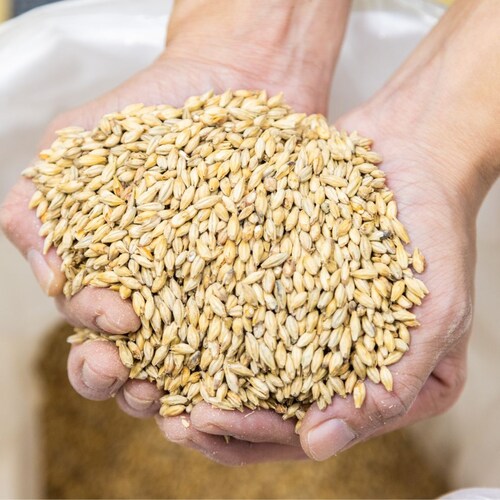 ��]�̋u�������@������s���X�i�[�@�N���t�g�r�[��6�{�Z�b�g�@IR2602�y������s�z_6