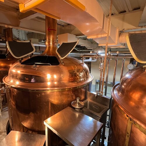 ��]�̋u�������@�f�C���[�r�[���V���[�Y3��e2�{�Z�b�g�@�N���t�g�r�[��6�{�Z�b�g�@IR2604�y������s�z_6