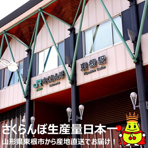 【出荷中】山形県産 さくらんぼ 佐藤錦 (秀品/Lサイズ/手詰め/24粒入り/クール便) ギフト 自宅用 家庭用_9
