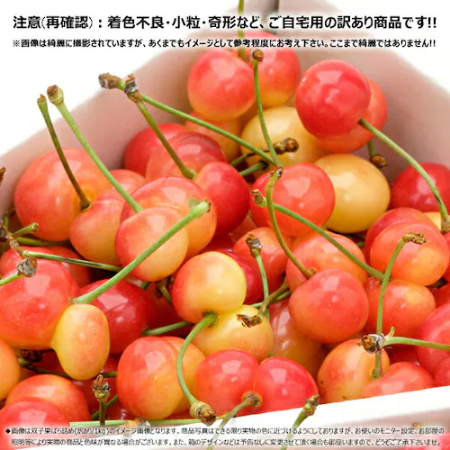 【出荷中/指定日不可】山形県産 ご家庭用 双子 さくらんぼ 1kg (訳あり/ばら詰め/産地箱/クール便) 自宅用_3