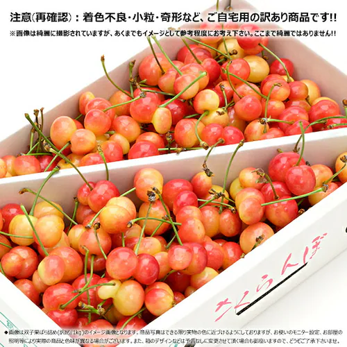 【出荷中/指定日不可】山形県産 ご家庭用 双子 さくらんぼ 1kg (訳あり/ばら詰め/産地箱/クール便) 自宅用_4