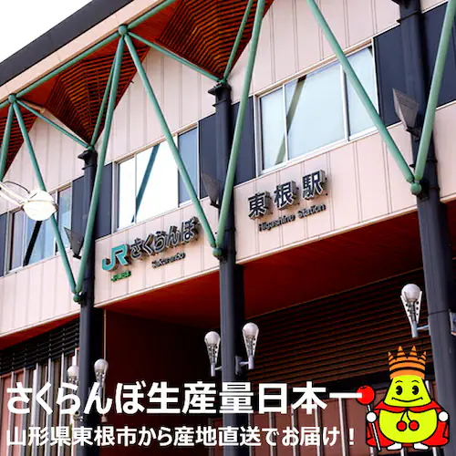 【出荷中/指定日不可】山形県産 ご家庭用 双子 さくらんぼ 1kg (訳あり/ばら詰め/産地箱/クール便) 自宅用_11