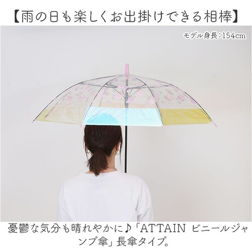 �r�j�[���P �q�� �ʔ� �P �I�[���� �W�����v�P ���P �J�P �I�[�����r�j�[���P ���� �J�T �ʊw ���f�B�[�X ���̎q ���q ���ǂ��q�� �L�b�Y ���w�� ���w�Z ���w�� ���w�Z ���킢�� ������� ��_1