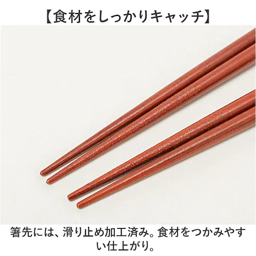 �v�w�� ������� �ʔ� ���{�� �ؐ� 21cm 23cm ���u���t�� �V�R�� �I�V���� ���� �͂� ���͂� �y�A �M�t�g�� ���킢�� �˔��� �H��@�Ή� �H���� �M�t�g �L�O�� ���j�� �C�V�_ �����j_5