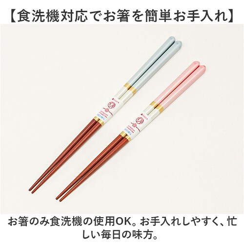 �v�w�� ������� �ʔ� ���{�� �ؐ� 21cm 23cm ���u���t�� �V�R�� �I�V���� ���� �͂� ���͂� �y�A �M�t�g�� ���킢�� �˔��� �H��@�Ή� �H���� �M�t�g �L�O�� ���j�� �C�V�_ �����j_6