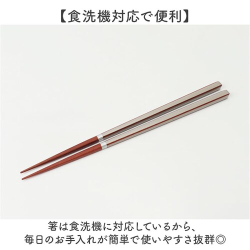 �v�w�� ���u�� �Z�b�g �ʔ� ���{�� �C�V�_ �v�w �� �y�A�� 23cm �����Z�b�g ���� ������ �M�t�g ���蕨 ���̂ݐH��@�Ή� �ؐ� ������� ���킢�� �V���v�� �V�b�N ��l ������ �����j��_2