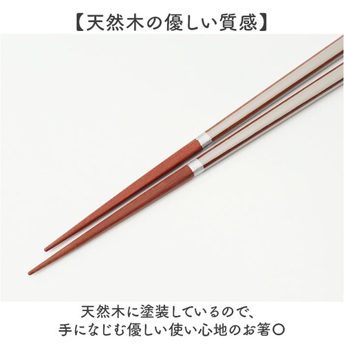 �v�w�� ���u�� �Z�b�g �ʔ� ���{�� �C�V�_ �v�w �� �y�A�� 23cm �����Z�b�g ���� ������ �M�t�g ���蕨 ���̂ݐH��@�Ή� �ؐ� ������� ���킢�� �V���v�� �V�b�N ��l ������ �����j��_6