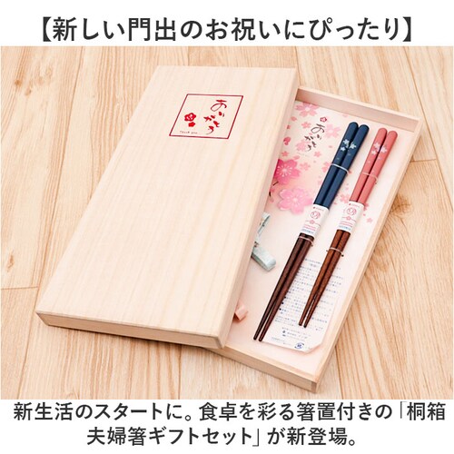 �v�w�� ������� �ʔ� ���� �͂� ���͂� ���u�� �˔����� 23cm 21cm ���@�Ή� �V�R�� ���킢�� ���� �I�V���� ������ �M�t�g �L�O�� ���j�� �C�V�_ �����j�� �a���j �h�V�̓�_1