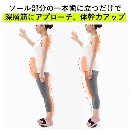 体幹 スリッパ 通販 ソールバランス コロン 体幹トレーニング アルファックス バランス ダイエットスリッパ 健康サンダル 健康スリッパ レディース 室内 エクササイズ 下駄 げた 一本下駄 おしゃれ_4