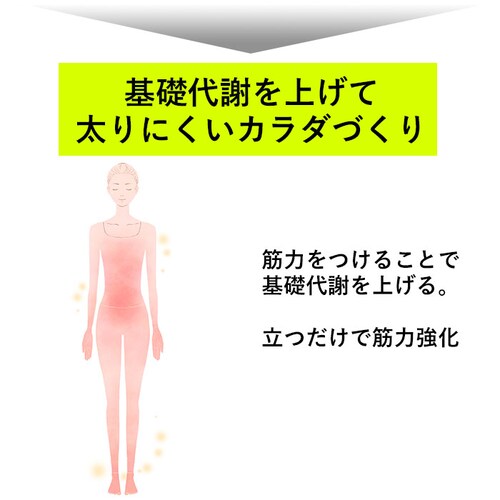 体幹 スリッパ 通販 ソールバランス コロン 体幹トレーニング アルファックス バランス ダイエットスリッパ 健康サンダル 健康スリッパ レディース 室内 エクササイズ 下駄 げた 一本下駄 おしゃれ_5