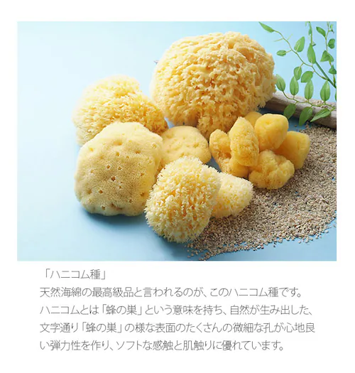 �{�f�B�X�|���W Bellini �x���[�j �ʔ� �V�R�C�ȃX�|���W �V�R�C�� �n�j�R���� SA16 L�T�C�Y ��14?16cm �����C ��� �C�ȃX�|���W �V�R�X�|���W �x�r�[ �Ԃ���� �_�炩 ����_2