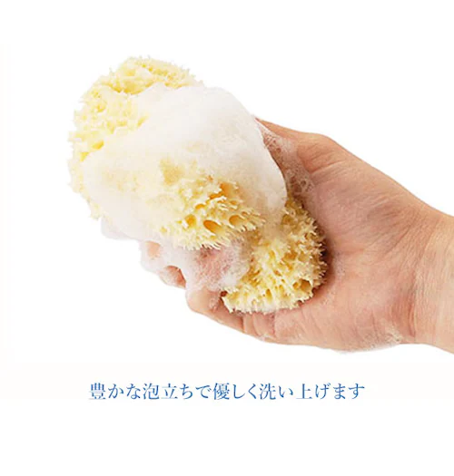 �{�f�B�X�|���W Bellini �x���[�j �ʔ� �V�R�C�ȃX�|���W �V�R�C�� �n�j�R���� SA16 L�T�C�Y ��14?16cm �����C ��� �C�ȃX�|���W �V�R�X�|���W �x�r�[ �Ԃ���� �_�炩 ����_3