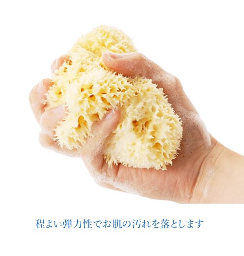 �{�f�B�X�|���W Bellini �x���[�j �ʔ� �V�R�C�ȃX�|���W �V�R�C�� �n�j�R���� SA16 L�T�C�Y ��14?16cm �����C ��� �C�ȃX�|���W �V�R�X�|���W �x�r�[ �Ԃ���� �_�炩 ����_4