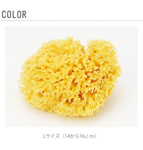 �{�f�B�X�|���W Bellini �x���[�j �ʔ� �V�R�C�ȃX�|���W �V�R�C�� �n�j�R���� SA16 L�T�C�Y ��14?16cm �����C ��� �C�ȃX�|���W �V�R�X�|���W �x�r�[ �Ԃ���� �_�炩 ����_5