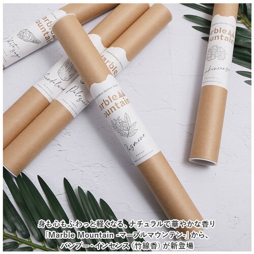 �p���T���g �C���Z���X�X�e�B�b�N ���� 20�{���� �ʔ� �X�e�B�b�N ���� ���� ������ �o���u�[�C���Z���X �o���u�[ �����b�N�X ���t���b�V�� �����F �i�`������ �C���e���A �� �X�e�B�b�N�^�C�v_1