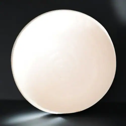 ���Z�� �M �ʔ� ���{�� ���M �v���[�g ���Z �� 24.5cm ��M �ێM �p�X�^�M �J���[�M �a�H�� ������� ���_�� ���킢�� �Ԍ` �Ԍ^ ���� �d�q�����W�Ή� �H��@�Ή� �T���_ �f�U�[�g �P_7