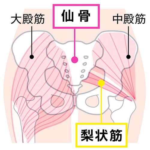 �X�b�L�����O �ʔ� �� �c�{���� �X�g���b�` �ډ��� �w�� �h�� �s���|�C���g ���� �ȒP ��� ���N �O�b�Y ���� ���� �e�����[�N_5