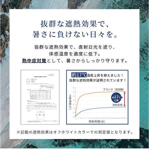 KIZAWA �܂肽���� �P ���� �J�� �ʔ� �L�U�� K030A58I ���P �����J�� �܂肽���ݎP �܂肽���ݓ��P �܂��ݎP ���� �J�T eagle+ 55cm 7�{�� �V���v�� ���n �������_10