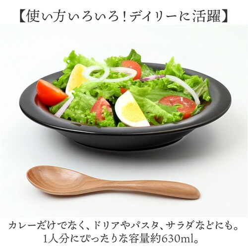 �ϔM�M ���{�� �ʔ� �J���[�M �ȉ~ �ϔM �I�[�o�� �M �g������ �ȉ~�M �I�[�o���v���[�g �������₷���H�� �ϔM�J���[�M viv ���B�� �I�[�u���Ή� �����W�Ή� �I�[�u���g�[�X�^�[ �H��@�Ή� _4