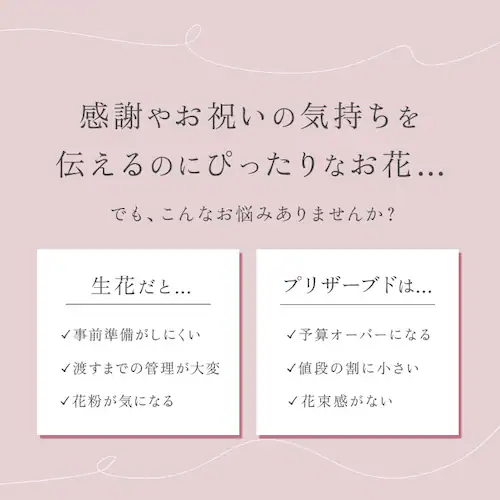 HillTop �q���g�b�v �G���K���g�~�j�u�[�P �ʔ� �u�[�P �\�[�v�t�����[ �t�����[�\�[�v �Ό��t�����[ �V���{���t�����[ �A�����W�����g �� ���� �͂�Ȃ��� �Ό� �~�j �K�N �o�� ���蕨 �M_2