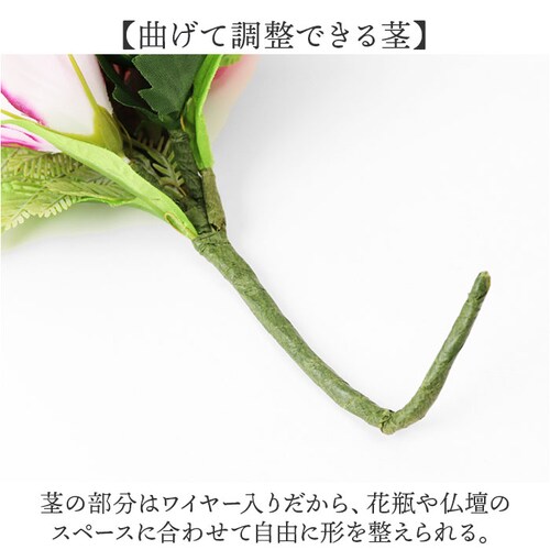 �A�[�e�B�t�B�V�����t�����[ ���� �ʔ� ���� �������� ���d ���� �������s�v ������ �� ���d�p ���� �͂�Ȃ� ������ ���O ���{ �@�� �@�v ������� ���ފ� ���~ �V�~ ���~ ���� ����� �l_5