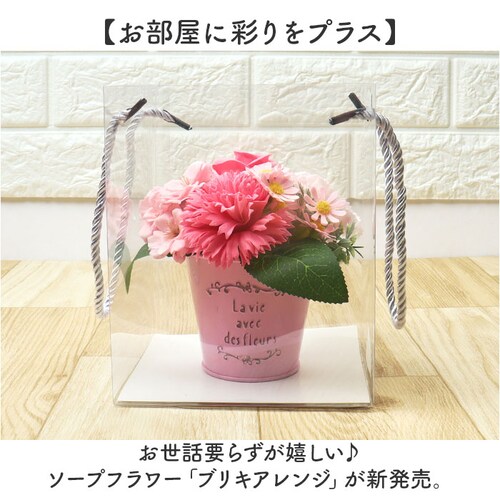 �\�[�v�t�����[ �I�V���� �ʔ� �u�[�P �A�[�e�B�t�B�V�����t�����[ �\�[�v�t�����[�M�t�g ���� �t�����[�\�[�v �Ό��t�����[ �V���{���t�����[ �A�����W�����g �͂�Ȃ��� �M�t�g ��̓� �h�V�̓� �C_1