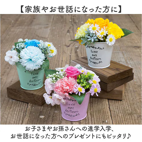 �\�[�v�t�����[ �I�V���� �ʔ� �u�[�P �A�[�e�B�t�B�V�����t�����[ �\�[�v�t�����[�M�t�g ���� �t�����[�\�[�v �Ό��t�����[ �V���{���t�����[ �A�����W�����g �͂�Ȃ��� �M�t�g ��̓� �h�V�̓� �C_6