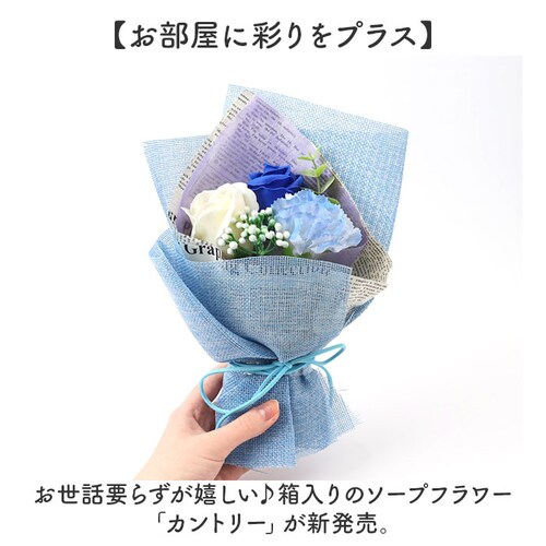 �\�[�v�t�����[ �ԑ� �ʔ� �u�[�P ������ �A�[�e�B�t�B�V�����t�����[ �\�[�v�t�����[�M�t�g ���� �t�����[�\�[�v �Ό��t�����[ �V���{���t�����[ �A�����W�����g �͂�Ȃ��� �M�t�g ��̓� �h�V�̓�_1