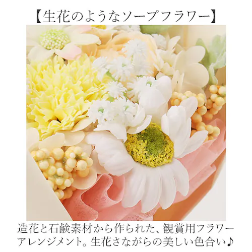 �u�[�P �\�[�v�t�����[ �g�[�g�o�b�O�t�� �ʔ� �\�[�v�t�����[�u�[�P �ԑ� �� �t�����[ �t�����[�M�t�g �V���{���u�[�P �\�[�v ���� �M�t�g ���蕨 �o�b�O �~�j�g�[�g �h���イ�o�b�O�t�� �������_3