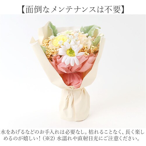 �u�[�P �\�[�v�t�����[ �g�[�g�o�b�O�t�� �ʔ� �\�[�v�t�����[�u�[�P �ԑ� �� �t�����[ �t�����[�M�t�g �V���{���u�[�P �\�[�v ���� �M�t�g ���蕨 �o�b�O �~�j�g�[�g �h���イ�o�b�O�t�� �������_4