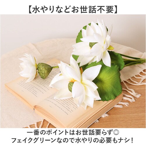 �@ �� ���� �ʔ� �@�̉� �͂��̉� �A�[�e�B�t�B�V�����t�����[ �A�[�e�B�t�B�V�����O���[�� �A�[�g�t�����[ �t�F�C�N�t�����[ �t�F�C�N�O���[�� �C���e���A �ϗt�A�� �u�b�V�� �l�H�ϗt�A�� FB-2_2