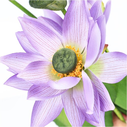 �@ �� ���� �ʔ� �@�̉� �͂��̉� �A�[�e�B�t�B�V�����t�����[ �A�[�e�B�t�B�V�����O���[�� �A�[�g�t�����[ �t�F�C�N�t�����[ �t�F�C�N�O���[�� �C���e���A �ϗt�A�� �u�b�V�� �l�H�ϗt�A�� FB-2_7