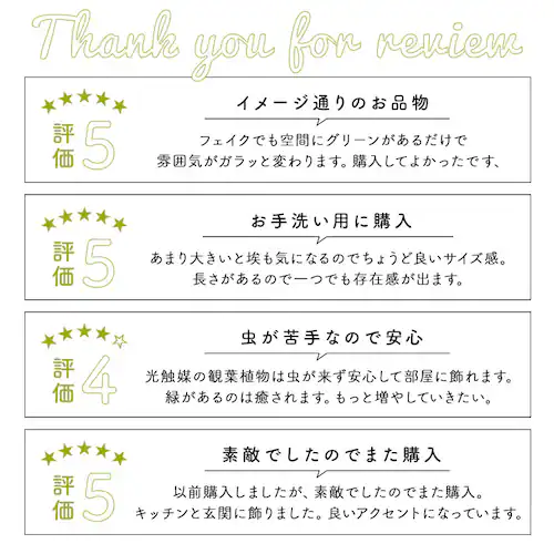 ���G�} �t�F�C�N�O���[�� �ʔ� �Ǌ|�� �C�~�e�[�V�����O���[�� ������� �� �C���e���A�v�����c ���L �R�� �ϗt�A�� �O���[���u�b�V�� ���� �G�� �l�H���� �E�H�[���f�R �A�C�r�[ �|�g�X �݂艺��_5