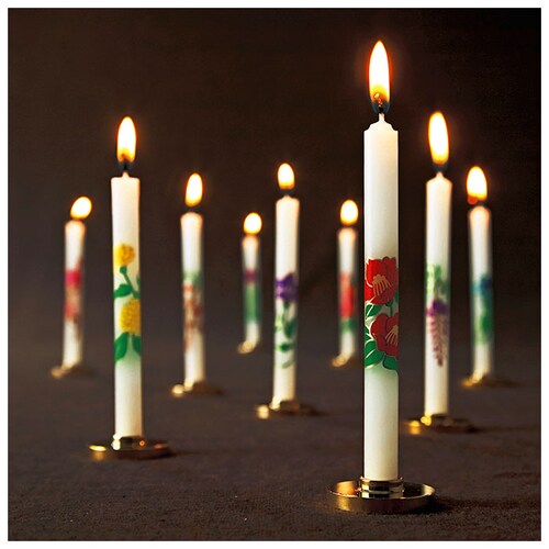 �Ԃ낤���� �Z�b�g �ʔ� 1��5 12�{�� �낤���� ���E�\�N ���[�\�N 12���� �G�߂̉� �~�� ��O�� ���E�\�N ���~ ���~ �Ւd ���~ �@�� �r�������� ������ �M�t�g �}���G�X 10T624_3