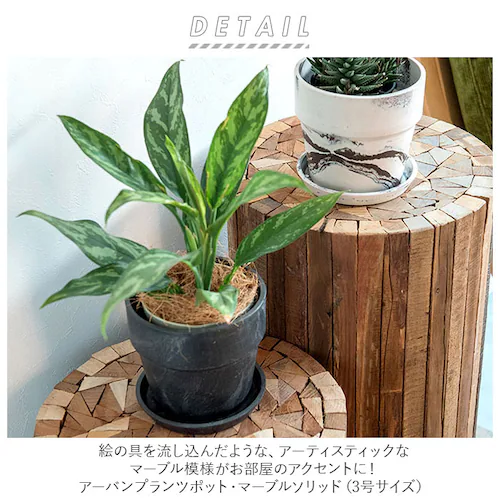 �A�ؔ� �v���X�`�b�N ������ 3�� �ʔ� �v�����^�[ ������� �A�� �� �|�b�g �Ԕ� 3���� �v���X�`�b�N���� ���킢�� ���� �y�� �y�� ���a 10cm �A�[�o���v�����c�|�b�g �R�� �}�[�u�� _1