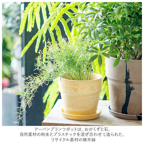 �A�ؔ� �v���X�`�b�N ������ 3�� �ʔ� �v�����^�[ ������� �A�� �� �|�b�g �Ԕ� 3���� �v���X�`�b�N���� ���킢�� ���� �y�� �y�� ���a 10cm �A�[�o���v�����c�|�b�g �R�� �}�[�u�� _2