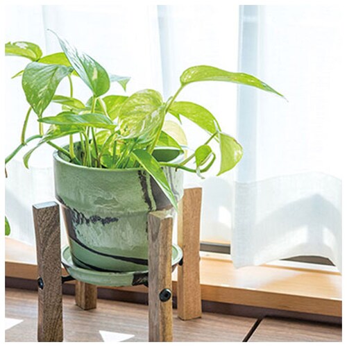 �A�ؔ� �v���X�`�b�N ������ 3�� �ʔ� �v�����^�[ ������� �A�� �� �|�b�g �Ԕ� 3���� �v���X�`�b�N���� ���킢�� ���� �y�� �y�� ���a 10cm �A�[�o���v�����c�|�b�g �R�� �}�[�u�� _4