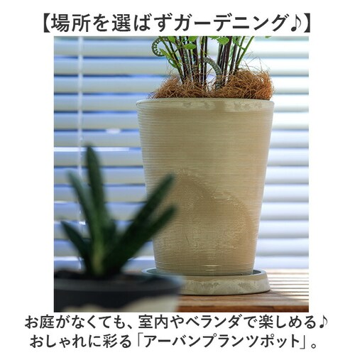 �A�ؔ� ������� �󂯎M�t�� �ʔ� ���J�o�[ 4�� �� �v���X�`�b�N �v�����^�[ �v�����^�[�J�o�[ �A�� �|�b�g ���A�� �A�[�o���v�����c�|�b�g �y�� �y�� �ϗt�A�� �ꌊ���� �� �A�� ���| �C���e_1