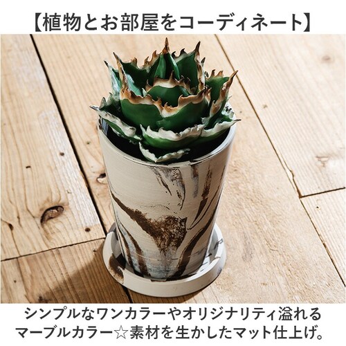 �A�ؔ� ������� �󂯎M�t�� �ʔ� ���J�o�[ 4�� �� �v���X�`�b�N �v�����^�[ �v�����^�[�J�o�[ �A�� �|�b�g ���A�� �A�[�o���v�����c�|�b�g �y�� �y�� �ϗt�A�� �ꌊ���� �� �A�� ���| �C���e_5