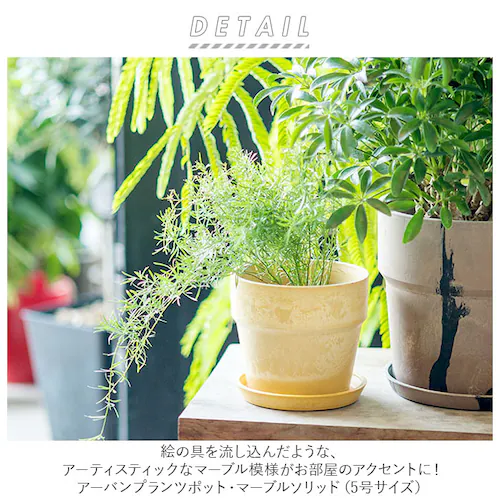 �A�ؔ� �v���X�`�b�N ������ 5�� �ʔ� �v�����^�[ ������� �A�� �� �|�b�g �Ԕ� 5���� �v���X�`�b�N���� ���킢�� ���� �y�� �y�� ���a 16.5cm �A�[�o���v�����c�|�b�g �T�� �}�[�u_1