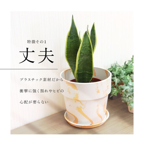 �A�ؔ� �v���X�`�b�N ������� 5�� �ʔ� ���J�o�[ 5���� �v�����^�[ �v�����^�[�J�o�[ �A�� �|�b�g ���A�� �A�[�o���v�����c�|�b�g �y�� �y�� �ϗt�A�� �� �󂯎M�t�� �ꌊ���� PLUS th_3