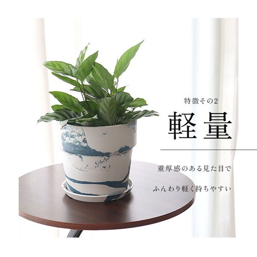 �A�ؔ� �v���X�`�b�N ������� 5�� �ʔ� ���J�o�[ 5���� �v�����^�[ �v�����^�[�J�o�[ �A�� �|�b�g ���A�� �A�[�o���v�����c�|�b�g �y�� �y�� �ϗt�A�� �� �󂯎M�t�� �ꌊ���� PLUS th_4