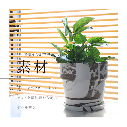 �A�ؔ� �v���X�`�b�N ������� 5�� �ʔ� ���J�o�[ 5���� �v�����^�[ �v�����^�[�J�o�[ �A�� �|�b�g ���A�� �A�[�o���v�����c�|�b�g �y�� �y�� �ϗt�A�� �� �󂯎M�t�� �ꌊ���� PLUS th_7