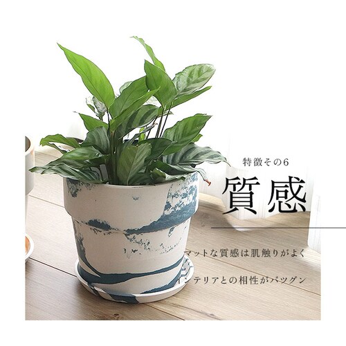 �A�ؔ� �v���X�`�b�N ������� 5�� �ʔ� ���J�o�[ 5���� �v�����^�[ �v�����^�[�J�o�[ �A�� �|�b�g ���A�� �A�[�o���v�����c�|�b�g �y�� �y�� �ϗt�A�� �� �󂯎M�t�� �ꌊ���� PLUS th_8