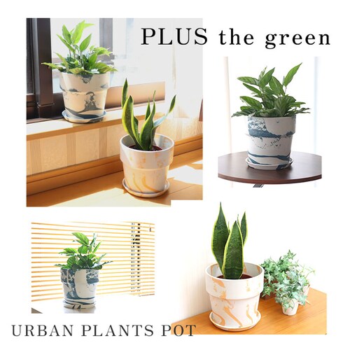 �A�ؔ� �v���X�`�b�N ������� 5�� �ʔ� ���J�o�[ 5���� �v�����^�[ �v�����^�[�J�o�[ �A�� �|�b�g ���A�� �A�[�o���v�����c�|�b�g �y�� �y�� �ϗt�A�� �� �󂯎M�t�� �ꌊ���� PLUS th_12