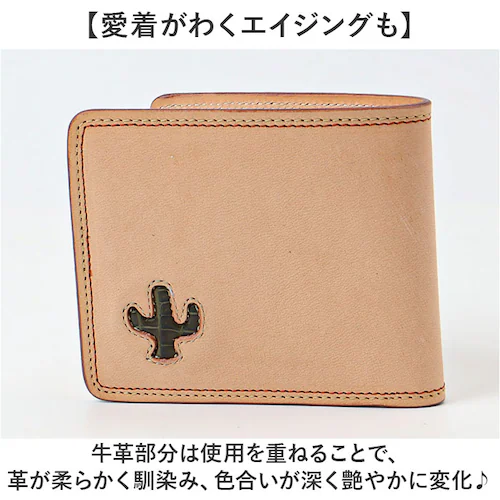 �{�v ��܂���z �����Y �ʔ� ���{�� ���z ������ �u�����h ���D���� ���K���� �J�[�h�z���_�[ �R���p�N�g ���������� ������� �j�� �v���i ���U�[�O�b�Y �g���₷�� ���� �A�E�j�� �a���� _7